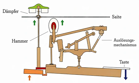 Hammermechanik eines Flügels bei gedrückter Taste: Der Hammer bewegt sich von unten gegen die Saite, während der Dämpfer angehoben wird und die Saite zum Schwingen freigibt.