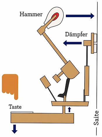 Hammermechanik eines Klaviers in Grundstellung mit Taste, Hammer, Dämpfer und Saite.